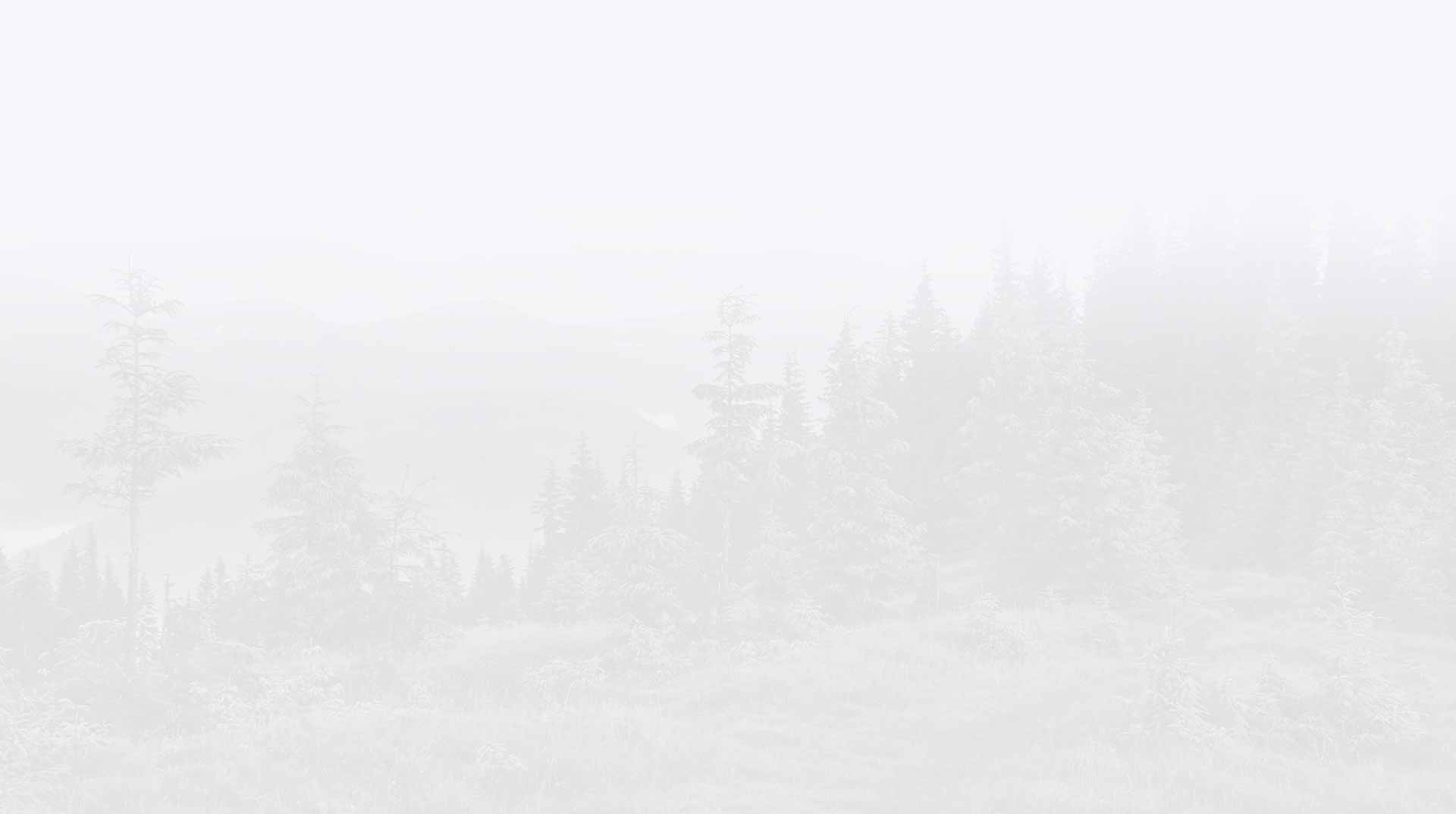 关于OLiPower公用事业规模BESS的常见问题